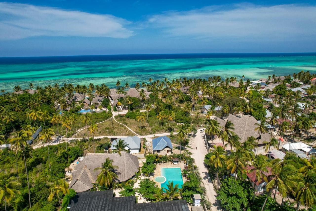 Tropical Oasis Boutique Hotel Michamvi Buitenkant foto
