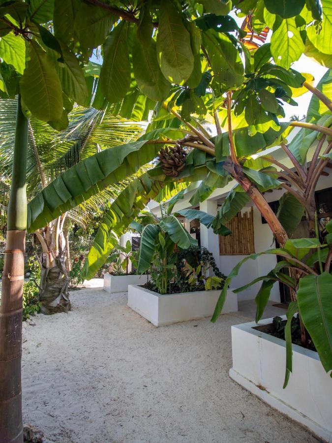 Tropical Oasis Boutique Hotel Michamvi Buitenkant foto